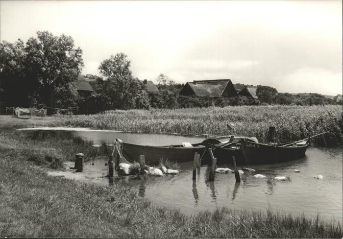 Loddin Usedom Achterwasser