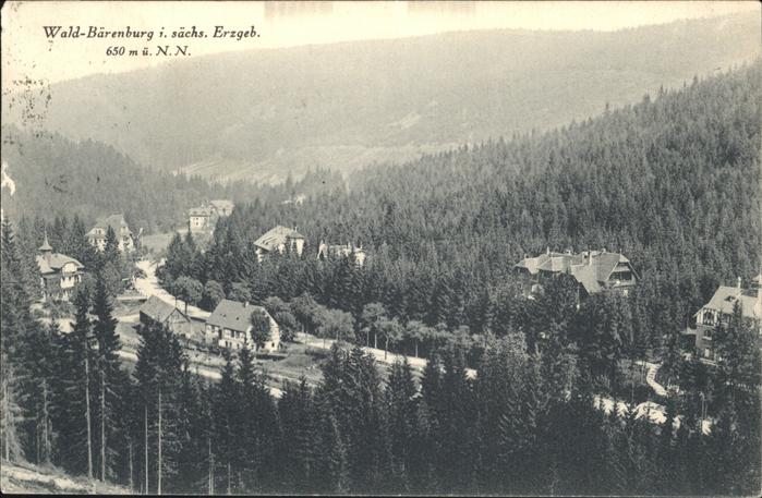 Erzgebirge Region Wald Bärenburg