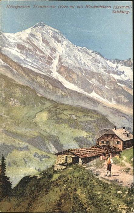 Salzburg Oesterreich Hotel Trauneralm