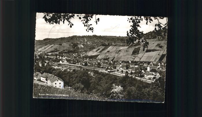 Ingelfingen Gesamtansicht