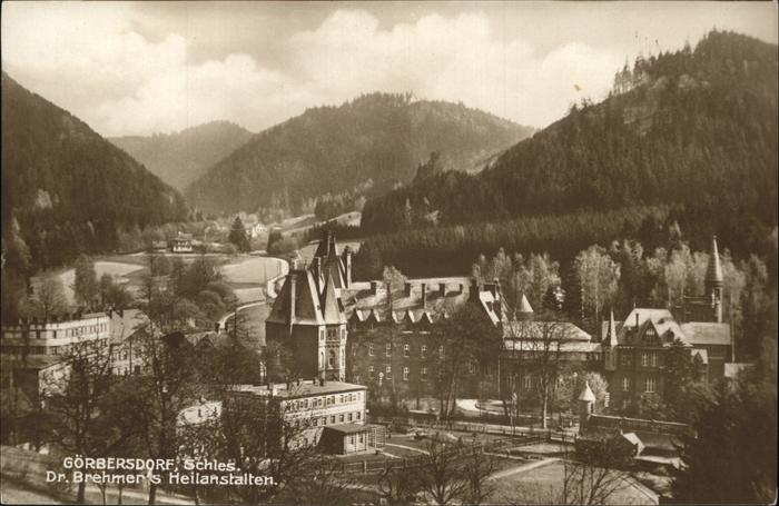 Goerbersdorf Schlesien Dr. Brehmers Heilanstalten