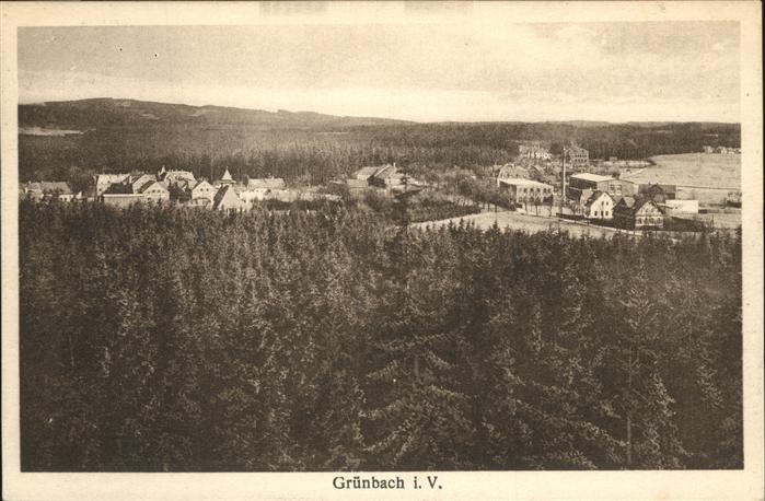Gruenbach Vogtland Panorama