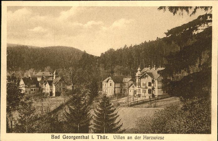 Georgenthal Gotha Harzwiese Villen
