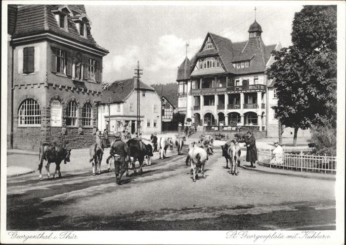 Georgenthal Gotha St. Georgenplatz Kuhherde