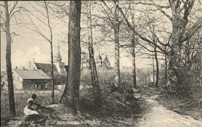 Droyssig Hasselwäldchen