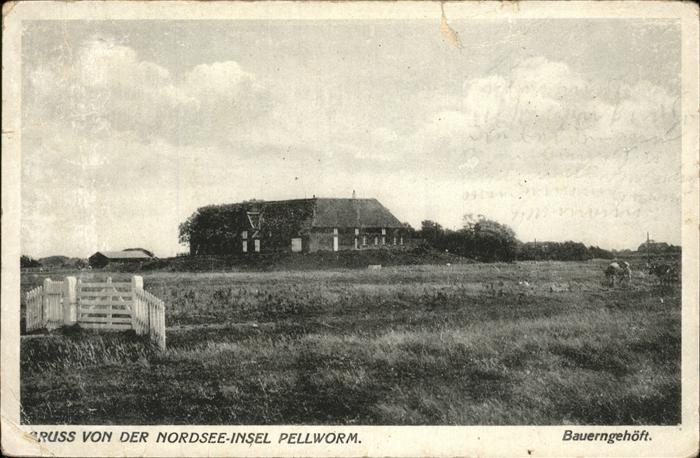 Pellworm Bauerngehöft