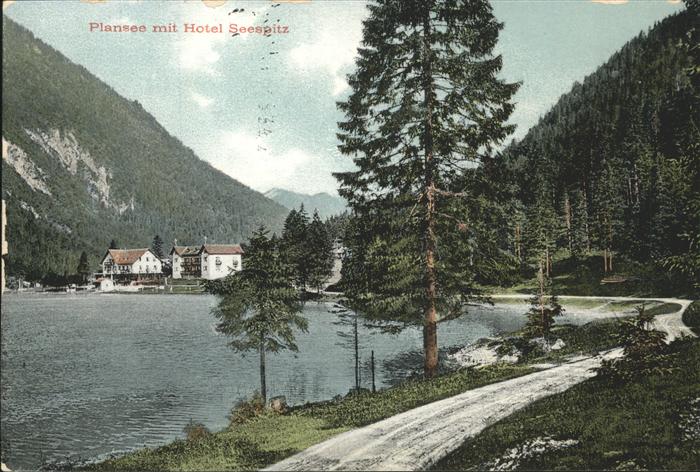Plansee Hotel Seespitz