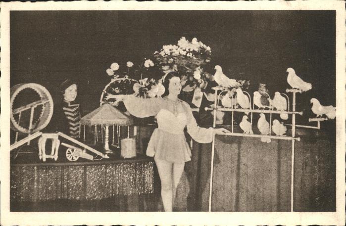 Zirkus Tauben