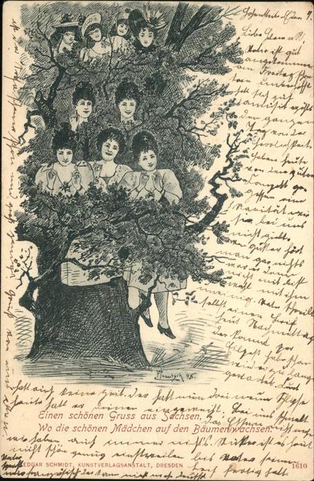 Baeume Trees Sachsen