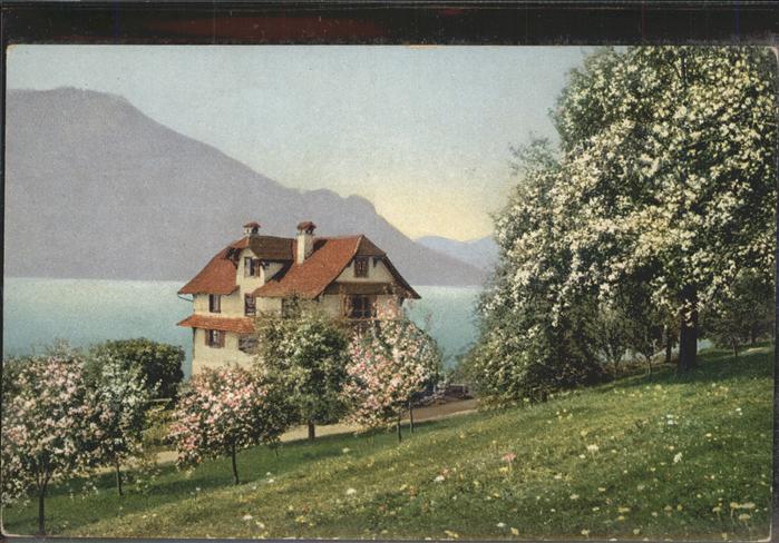 Vierwaldstaettersee Fruehjahr