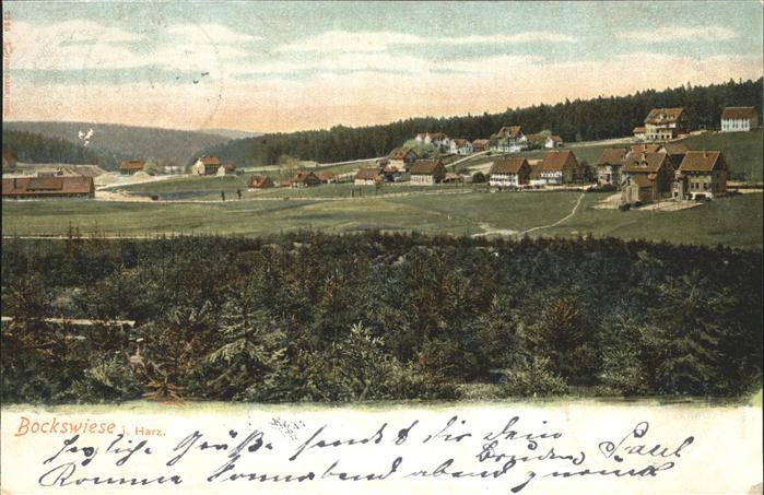 Seesen Harz Bockswiese