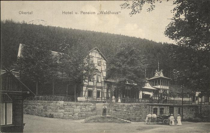 Okertal Hotel Pension Waldhaus