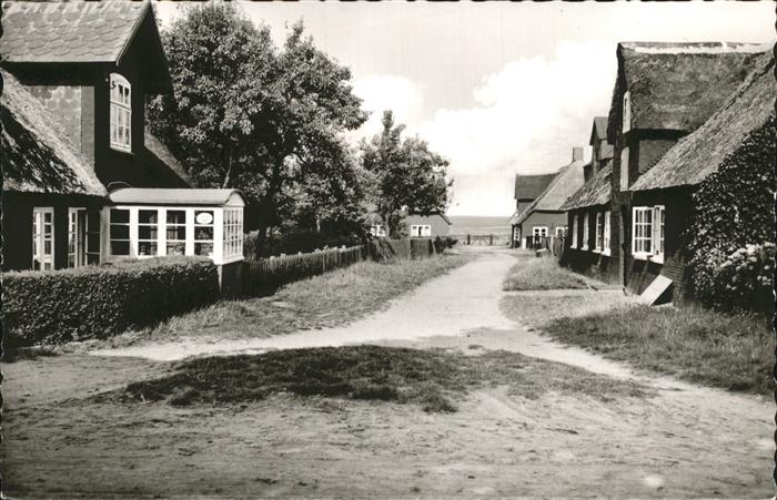 Nebel Amrum Weg Watt