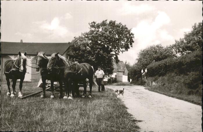 Nebel Amrum Dorfansicht