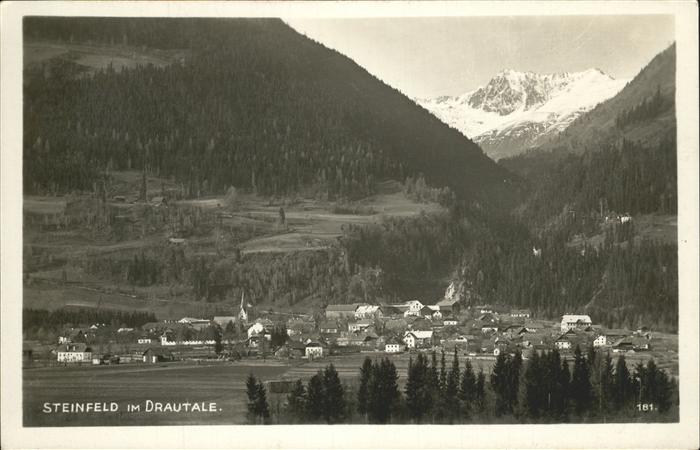Steinfeld Kaernten Gesamtansicht Drautal