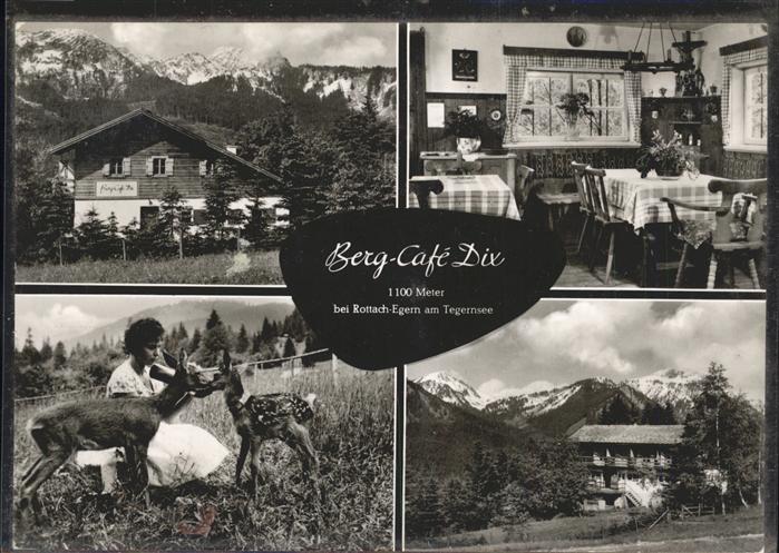 Rottach-Egern Berg Cafe Dix Rehe
