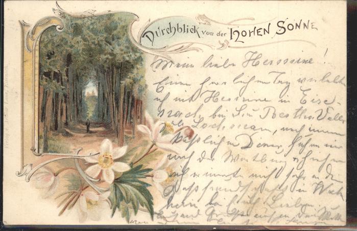 Eisenach Thueringen Durchblick Hohen Sonne Blume Wald