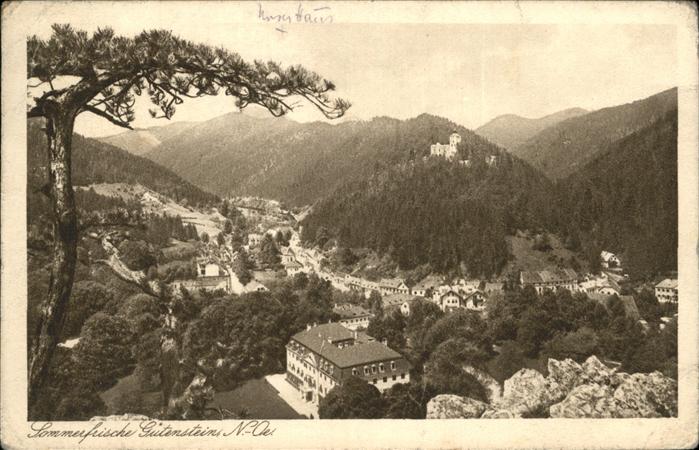 Gutenstein Niederoesterreich Sommerfrische