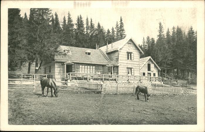 Unterberg Niederoesterreich Schutzhaus Pferde