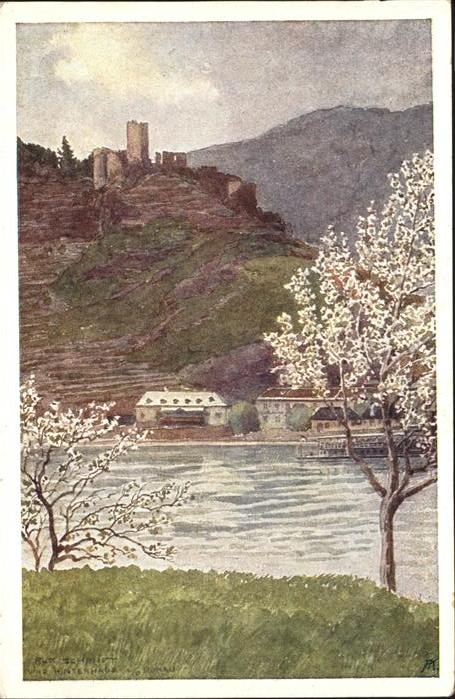 Spitz Donau Ruine Hinterhaus Donau Dampfschiff Früh