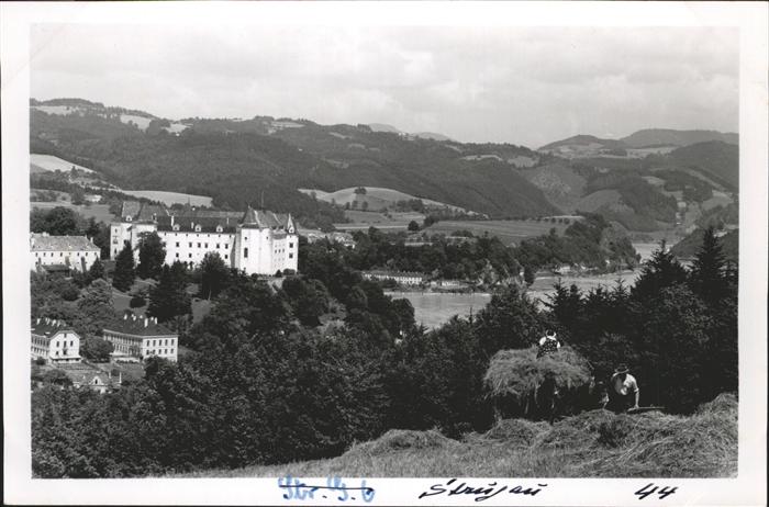 Grein Donau Oberoesterreich Greinburg Donaugesellschaft