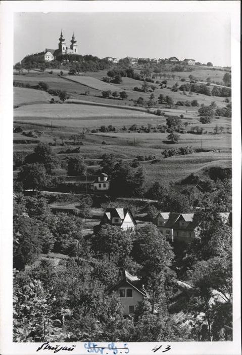 Grein Donau Oberoesterreich Greinburg Donaulandschaft