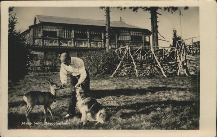 Rasocherhaus Jauerling Reh Hund