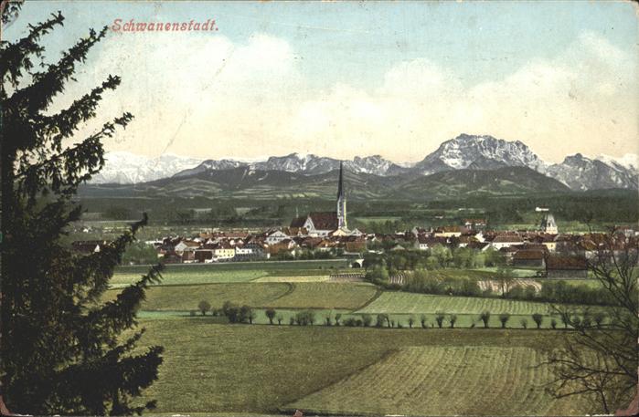 Schwanenstadt