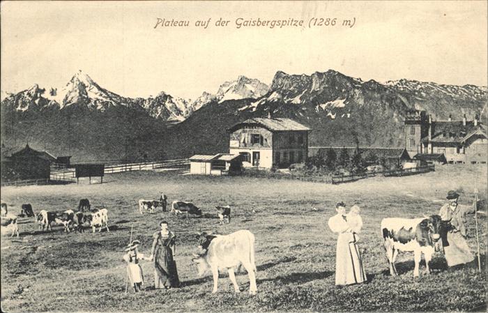 Gaisbergspitze Plateau Kühe Schäfer Familie