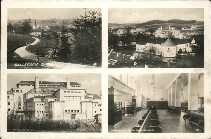 Gallspach Institut Zeileis