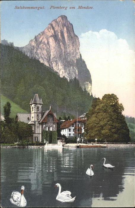 Plomberg Mondsee Teilansicht Plomberg am Mondsee mit Dra