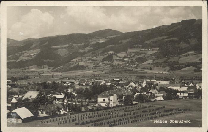 Trieben Gesamtansicht