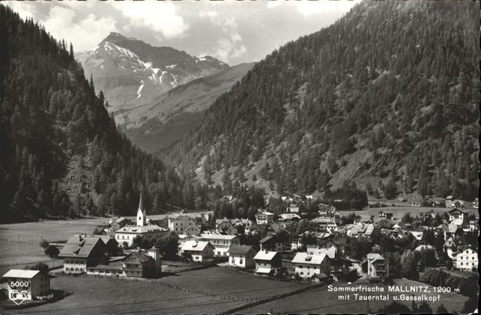 Mallnitz Kaernten Sommerfrische Gesselkopf Tauerntal