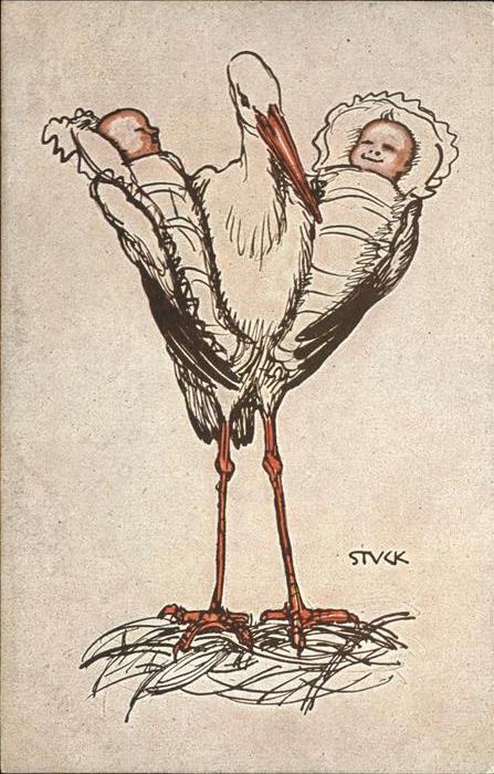 Voegel Birds Oiseaux Uccelli Pajaros-- Storch Saeugling Stuck Spende Bayern