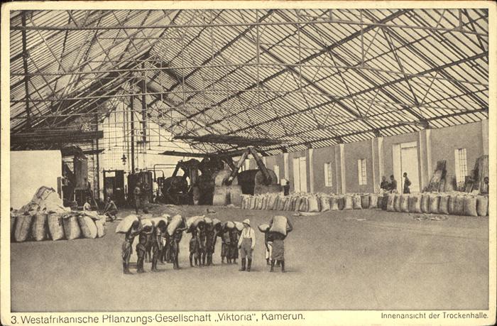 Landwirtschaft Westafrika Kamerun Pflanzungsgesellscha