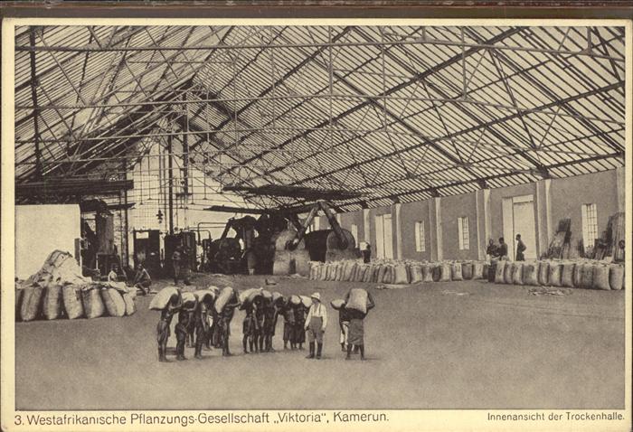 Landwirtschaft Westafrika Kamerun Pflanzungsgesellscha