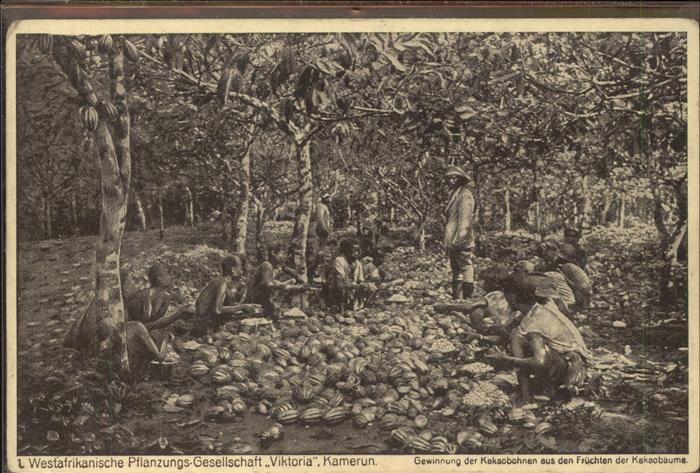 Landwirtschaft Westafrika Pflanzungsgesellschaft Vikto
