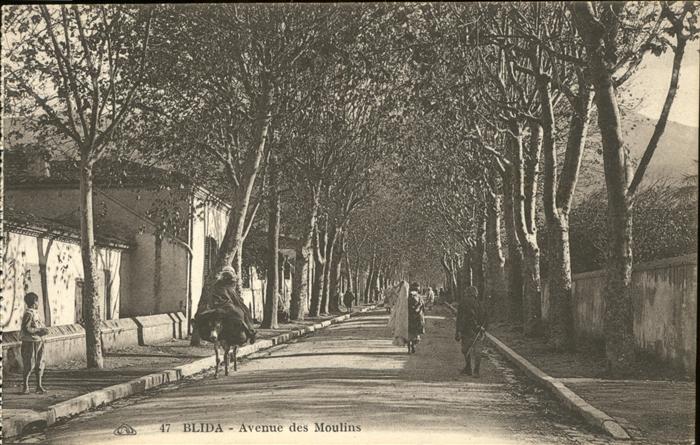 Blida Algerien Avenue des Moulins
