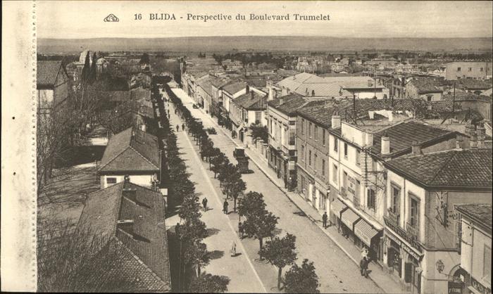 Blida Algerien Perspective du Boulevard Trumelet