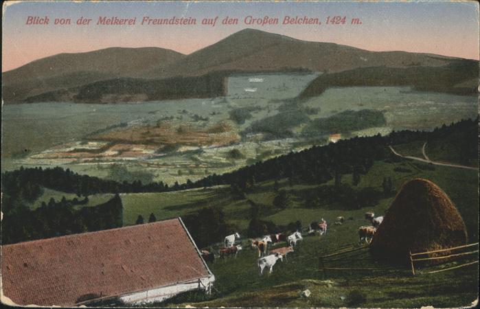 Guebwiller Elsass Blick von der Melkerei Freundstein auf