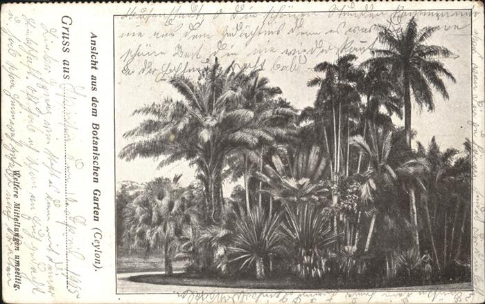 Ceylon Sri Lanka Botanischer Garten