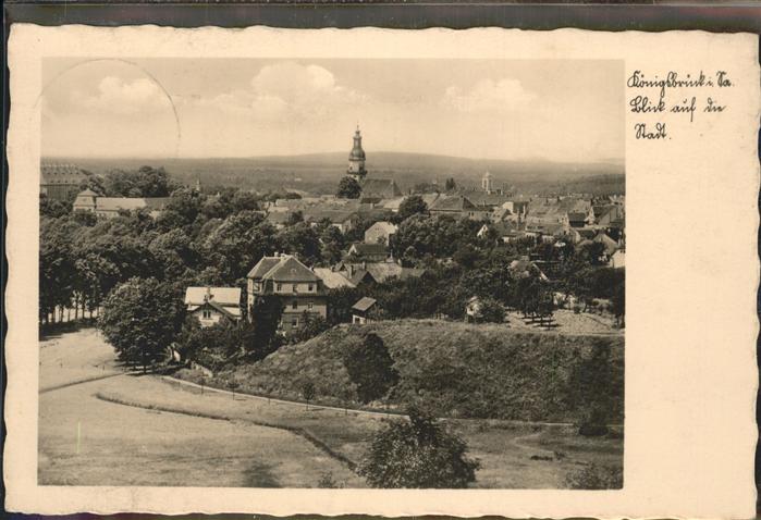 Koenigsbrueck Stadtblick