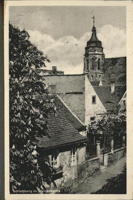 Pirna Elbe Sachsen Schlo?berg Marienkirche