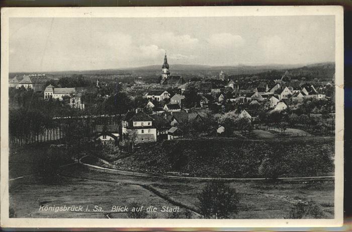 Koenigsbrueck Stadtblick