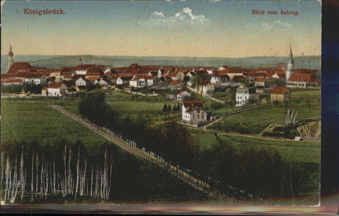 Koenigsbrueck vom Auberg aus
