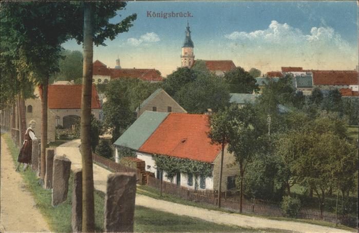 Koenigsbrueck Teilansicht