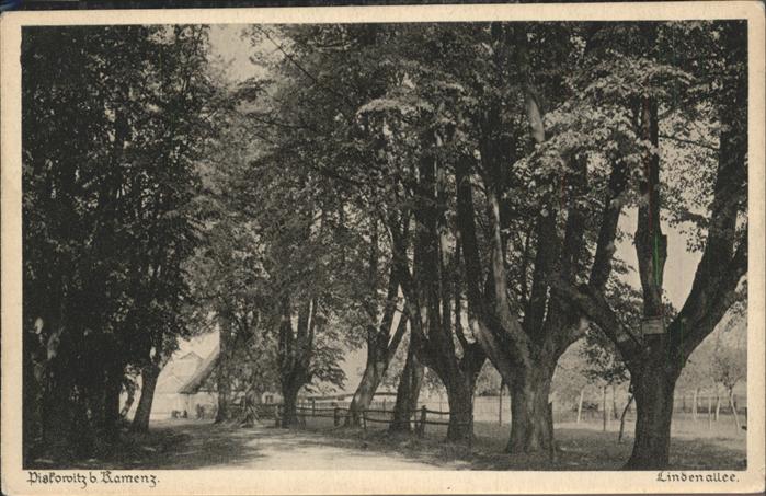Kamenz Sachsen Lindenallee