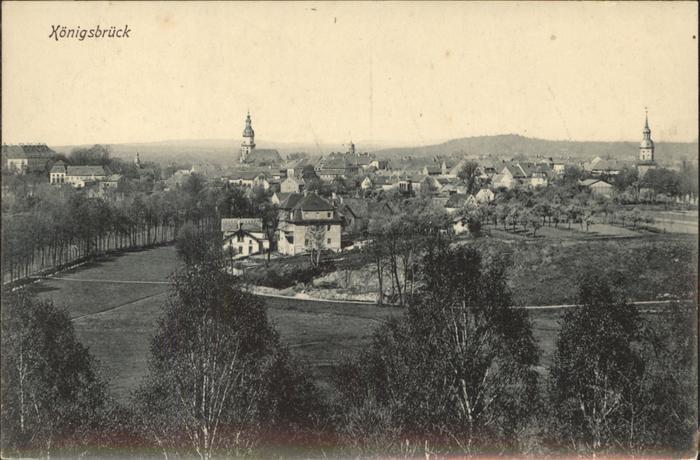 Koenigsbrueck Panoramablick auf Königsbrück Kirche