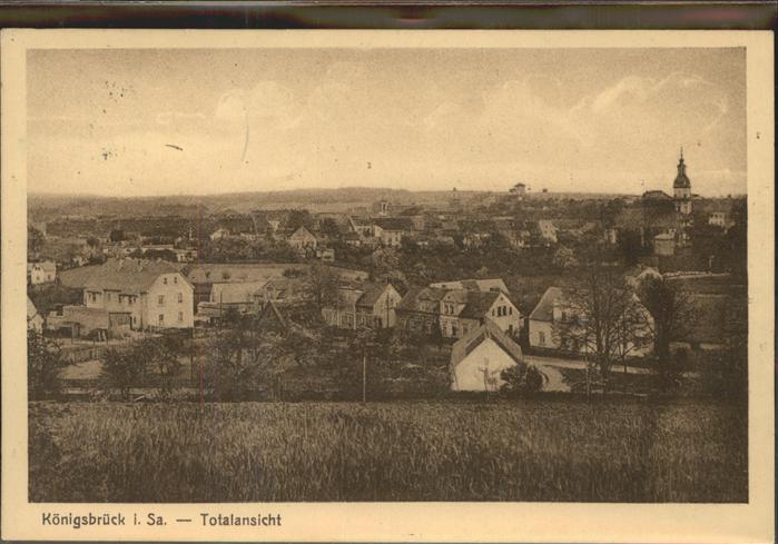 Koenigsbrueck Totalansicht