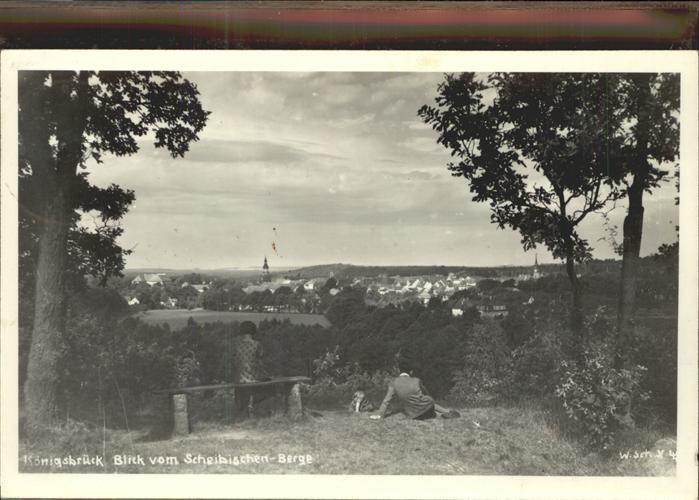 Koenigsbrueck Panoramablick vom Scheibigen Berge